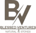 BV logo