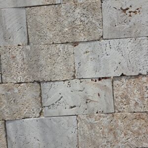 Coral Stone in Kenya