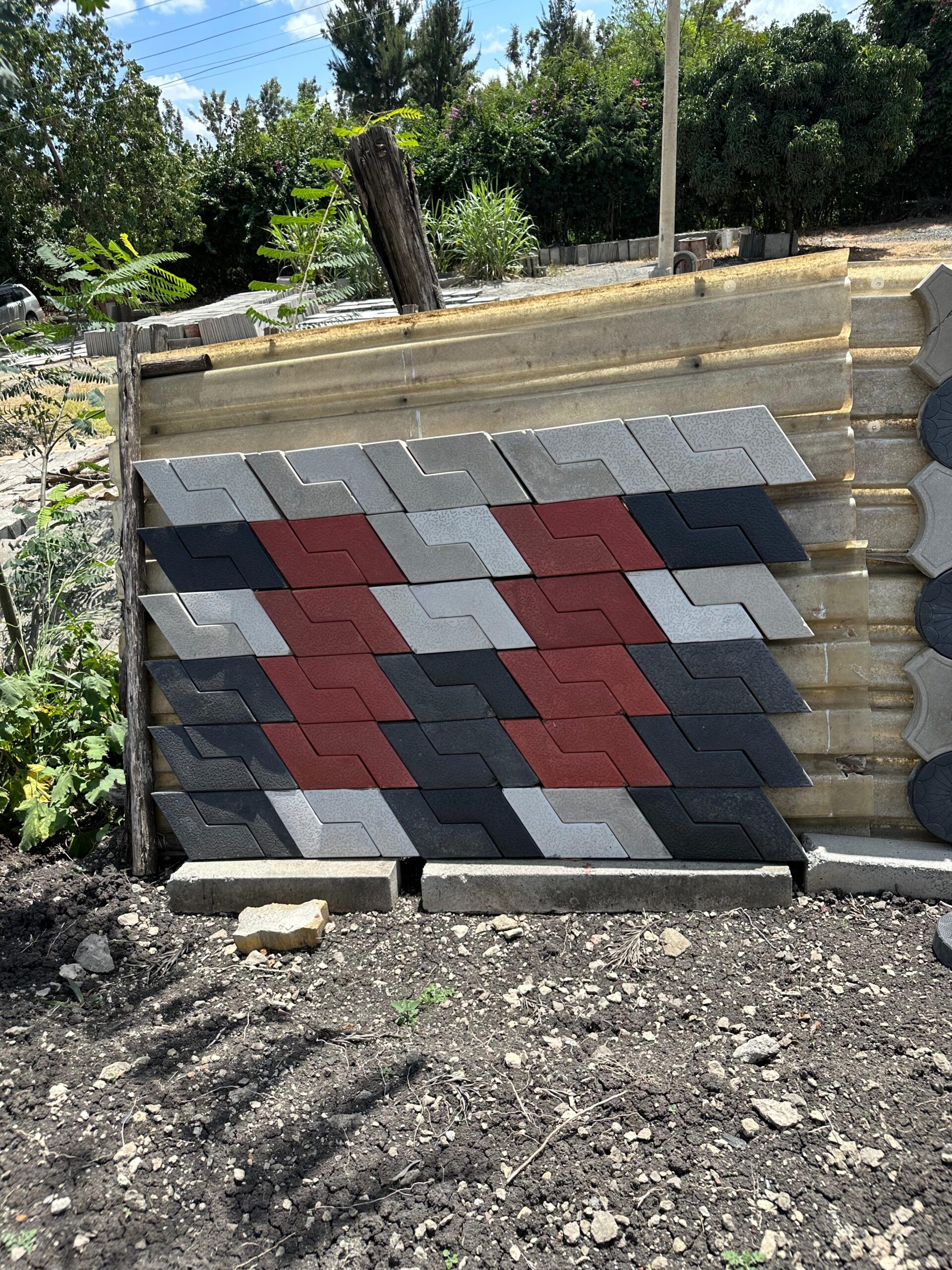 Colored Cabros in Kenya - Image 3