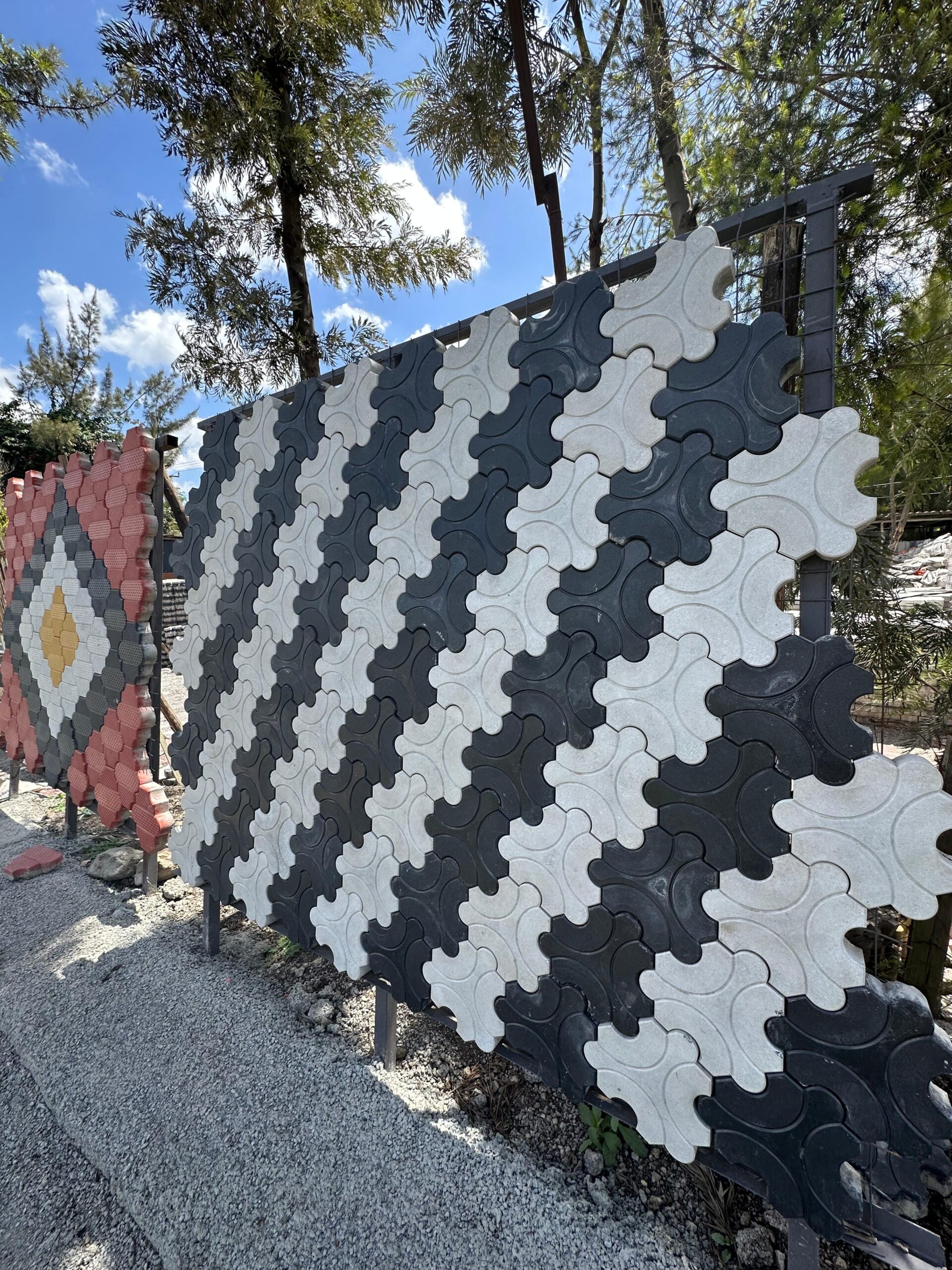 Plain Cabros in Kenya - Image 3